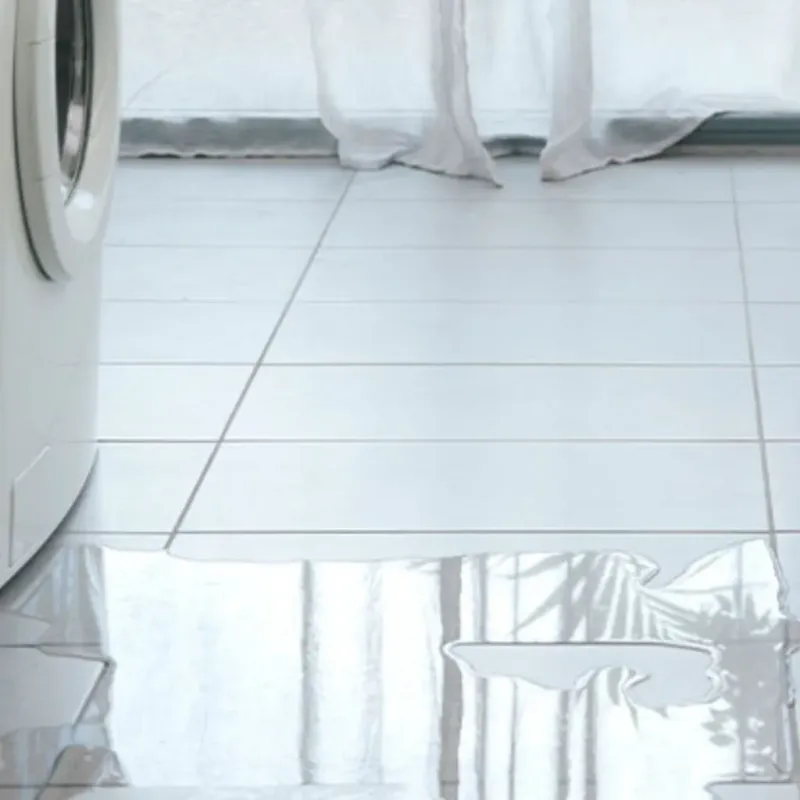 Appliance Leak Cleanup in Homeland, CA