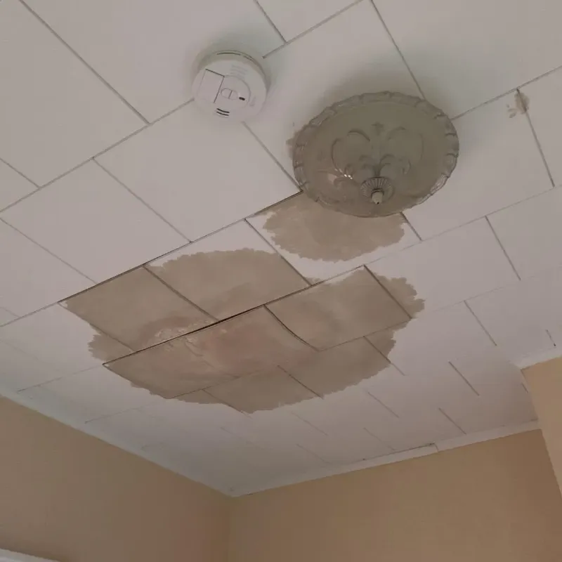 Ceiling Water Damage Repair in Homeland, CA