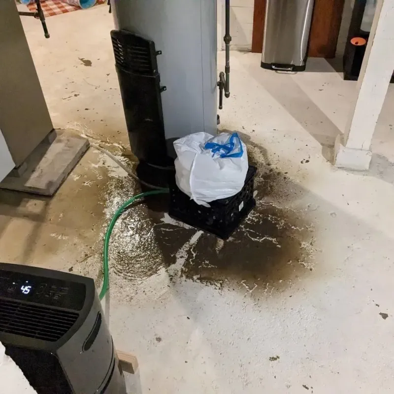 Sewage Backup Cleanup Service in Homeland, CA